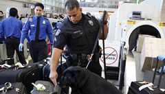 Pes kontroly na letitch v USA nepozorovan prolo 16 terorist